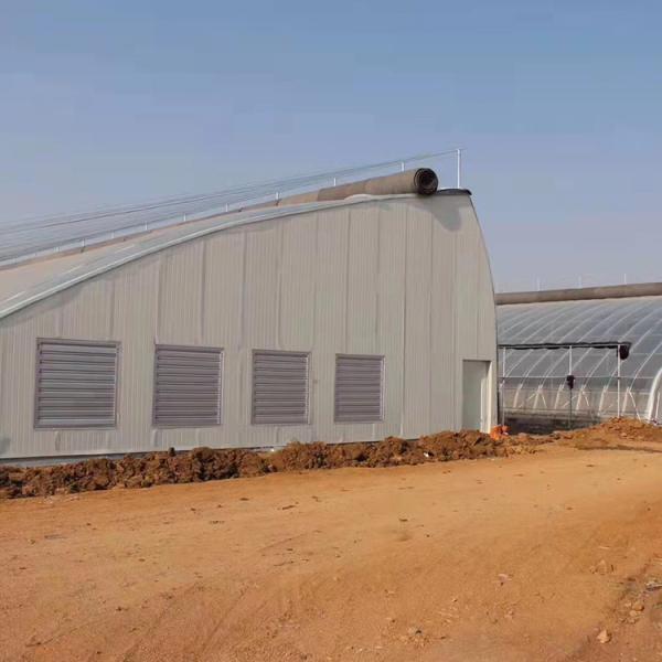 Estufa solar passiva do filme hidropônico do sistema completo do berçário para o tomate