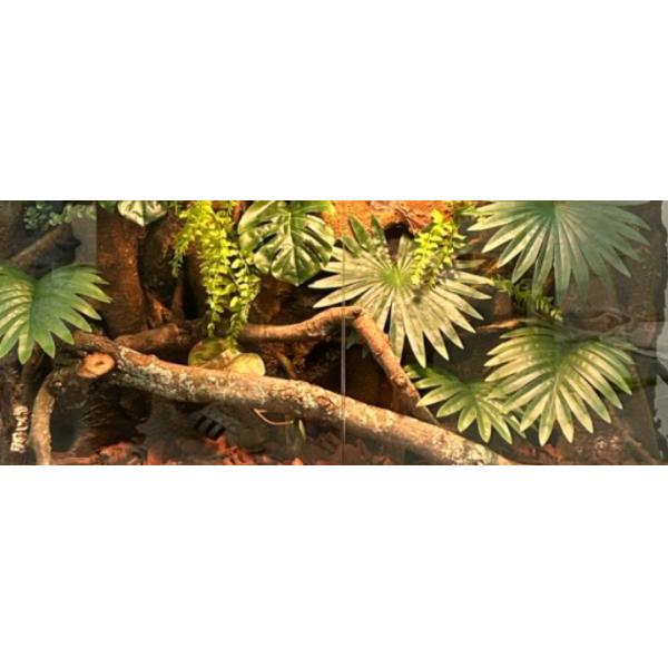 Vivarium 3D arrière-plan Tête de roche Texture Résistance à la corrosion Installation gratuite