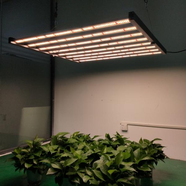 O diodo emissor de luz da flor 600W de Veg do jardim cresce claro para a hidroponia da horticultura