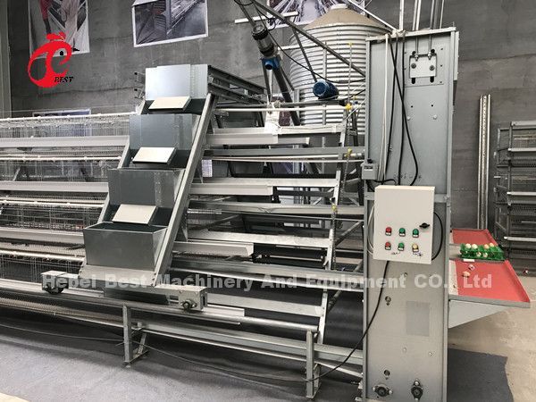 Тип автоматическая система клетки сельского хозяйства птицы для слоев играет главные роли