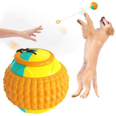 Da bola em borracha resistente do deleite da mordida brinquedo Stretchable do cão da bola do lance