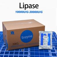 20000U/G Lipase décompose les graisses pour la transformation des aliments et de la boulangerie