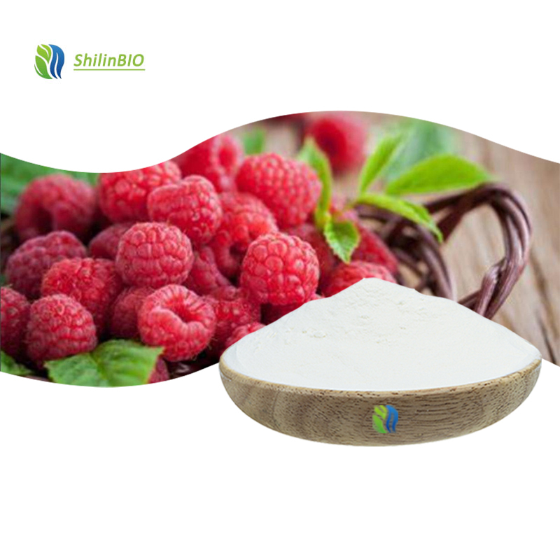 High Quality 99% Raspberry Ketone Powder Raspberry Extract CAS 5471-51-2 Food Grade