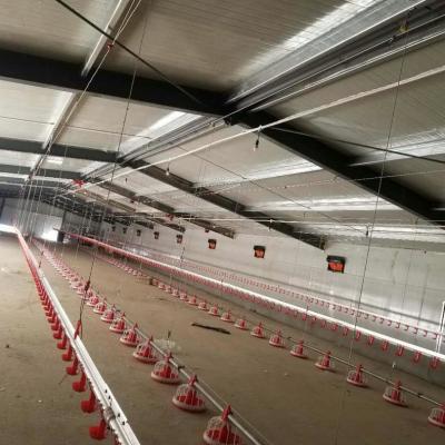 Equipamento automático de Pan Feeding System Poultry Farm