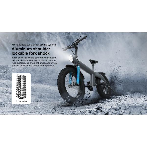 48V/750W Lithium Ion Battery Max Load 100kg for Motor Applications Q3 All-terrain