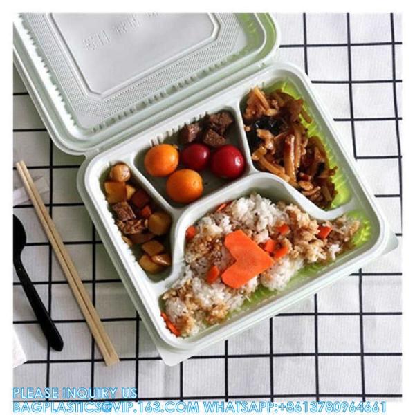 Factory Direct Sales Takeaway Food Packaging And Storage Containers Disposable Plastic Food Bento Lunch Boxes