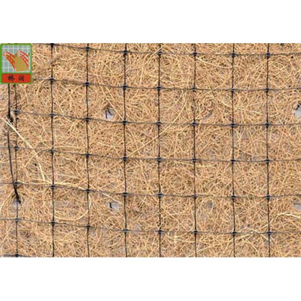 Reinforcing Environment / Erosion Control Plastic Mesh For Erosion Blanket Rolls
