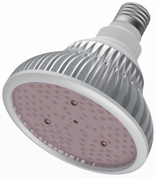 IP44 20W Horticulture LED Grow Light Bulb For Indoor Plants 2 Years Warranty