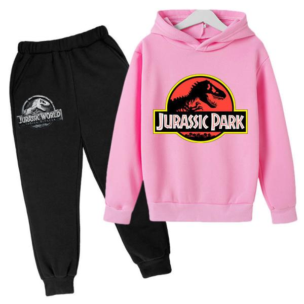 Children'S Outfit Sets Movie Anime Hoodie Boys And Girls Dinosaur Print Hoodie Set