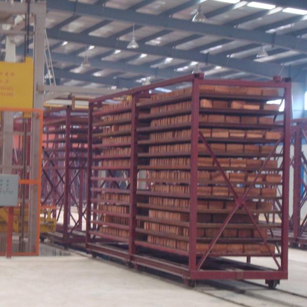 Les briques de décoration de Clay Brick Production Line For de four à tunnel font face à la production de brique plaçant deux fois le système