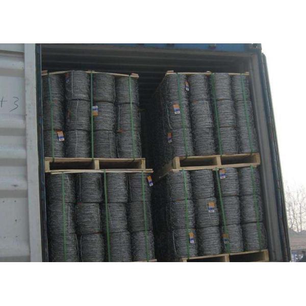 Single Twisted Galvanized High Tensile Barbed Wire Security For Industry