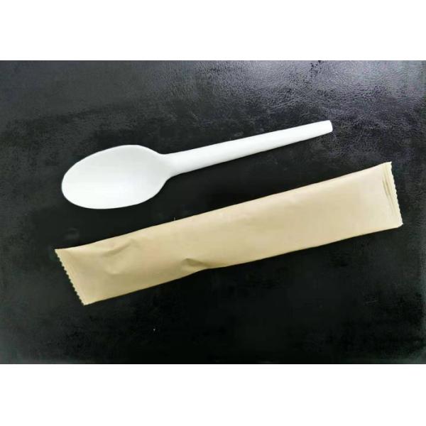 Compostable Disposable Spoon 165mm CPLA Cutlery