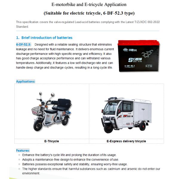 Electric Tricycle Rechargeable Lead Acid Battery 6-DF-52.3 12V 52.3Ah 215*121*174MM