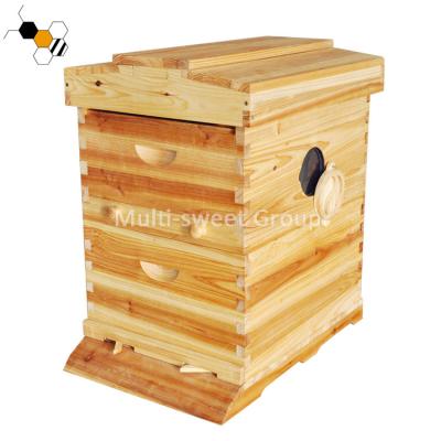 colmeia revestida da abelha do fluxo da cera da espessura de 18mm com rainha Excluder