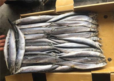 Sauro pacífico de congelação maioria feito congelamento rápido bloco de 80g 100g 110g