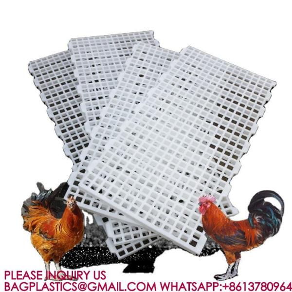 Poultry Husbandry Animal Plastic Flooring Poultry Poultry Plastic Slat Plastic Slats Flooring