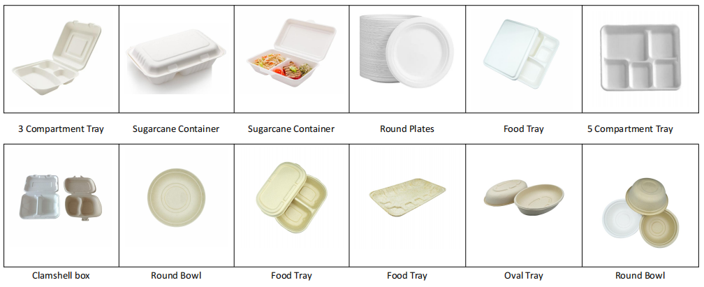 Fully Automatic Pulp Molding Tableware Machine Paper Tray Machine Production Line
