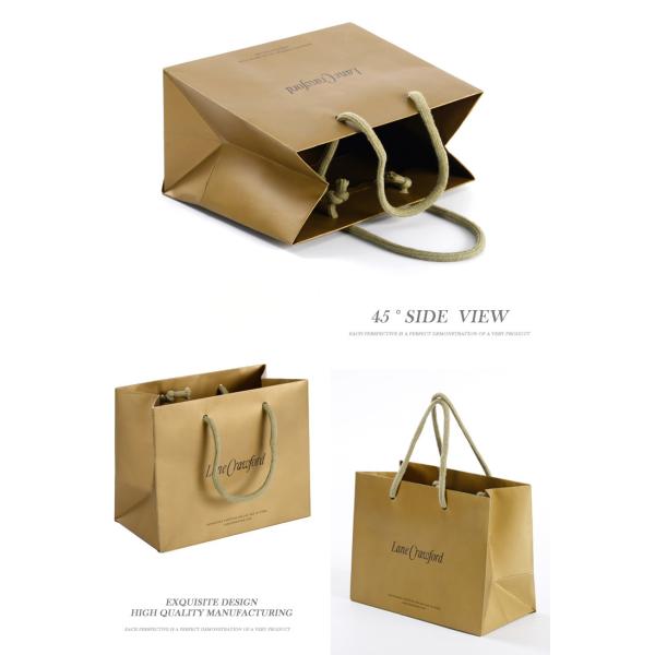 Recyclable Luxury Branded Paper Bags , Custom Printed Paper Shopping Bags