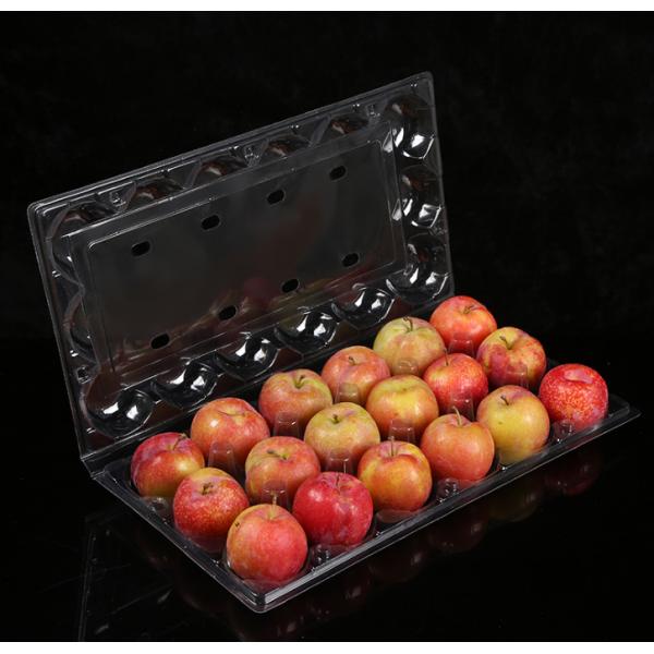Durable Blister Packaging Tray Customized Made Vivid Gravure Printing