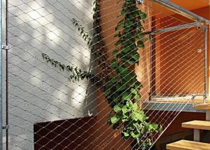 Stainless Steel 316 Wire Rope Mesh 75mm For Protection Net Plant Climbing Net