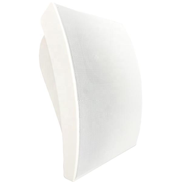 5W 10W Wall Speaker 4 Inch Woofer 1 Inch Tweeter ABS Speaker