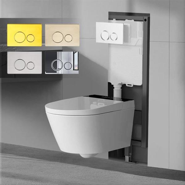 Concealed Dual Flush Toilet Tank Panel With Flush Button