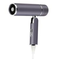 Secador de cabelo de pouco peso iônico de um curso de 2200 watts para o cabelo encaracolado normal