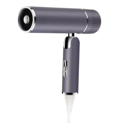 2200 Watt Ionic Lightweight Travel Hairdryer For Normal Curly Hair