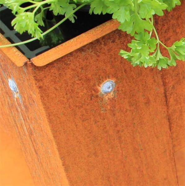 O aço metálico contínuo de Corten do jardim aumentou as camas e a prateleira exteriores