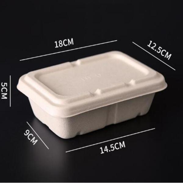 Square Eco Friendly Biodegradable Sugarcane Pulp Lunch Box 100% Compostable