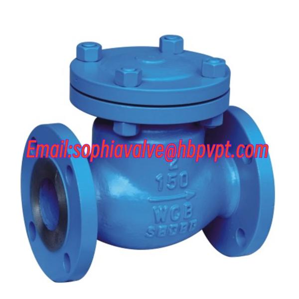 ANSI 150/300/600LB swing check valve with flanged