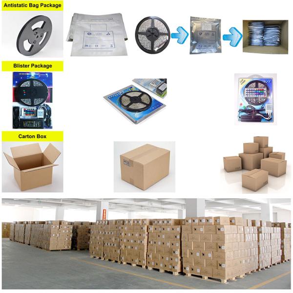 Double Layer IP65 Blue LED Strips 5M Roll White PCB Self Adhesive Easy Installation