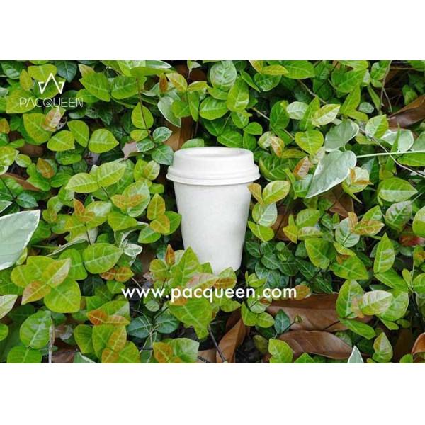 Sugarcane Hot Beverage Disposable Cups , Eco Disposable Cups Custom Printed