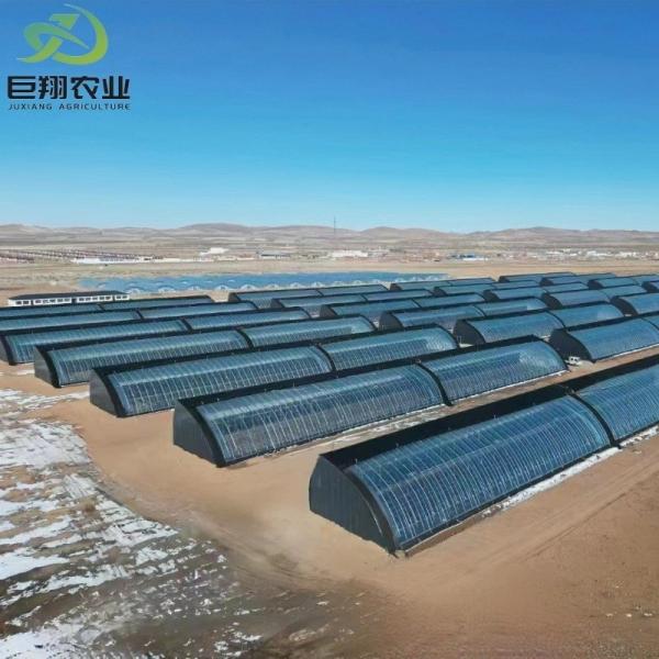 Roofing Shape Arched Roof JX-Arch Green House for Tomato Strawberry Hydroponic Farming