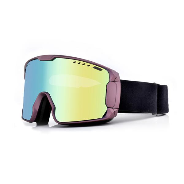 Invierno ULTRAVIOLETA de la protección de la niebla de las gafas antis profesionales desprendibles de la nieve