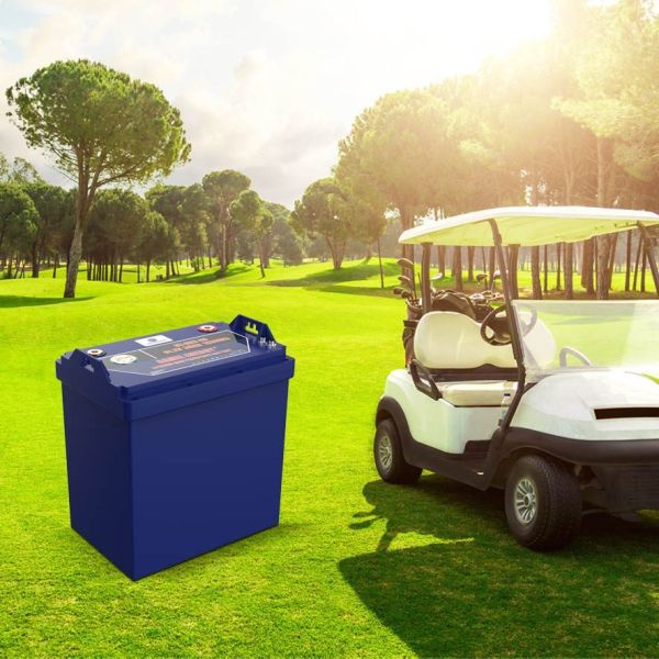 51.2V 30Ah LiFePO4 Golf Cart Lithium Battery with Bluetooth and RS485 Communication