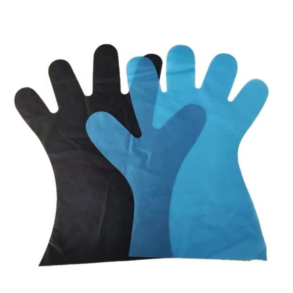 Wholesale Biodegradable Sustainable Recyclable Powder Free Disposable TPE/PE Gloves Low Cost Disposable PE Gloves