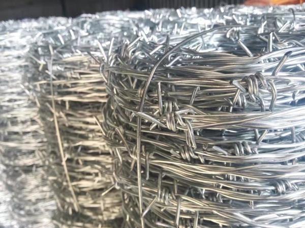 IOWA type barbed wire BWG12XBGW12/BWG14XBGW14/BWG12XBGW14 4 barb spacing 5 barb distance 1.5cm barb length