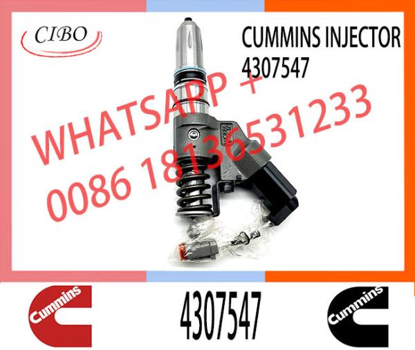 M11 Engine Injector 4307547 4928517 4903472 3411756 3080429 2080429