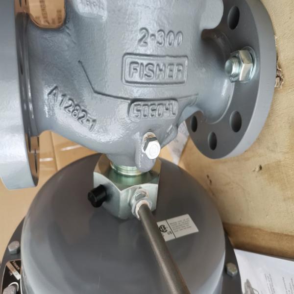 High Flow Rate Fisher Gas Regulator 1098-EGR For Corrosive Environments Oxygen Service