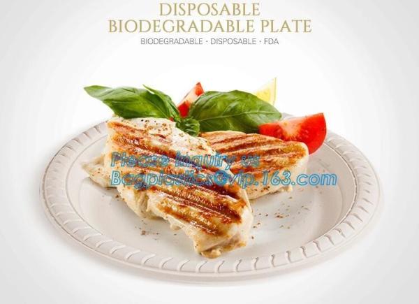 Online Shopping 10 Inch Biodegradable Disposable Sugarcane Bagasse Party Plate,Sugarcane Bagasse Paper Plate/Compostable