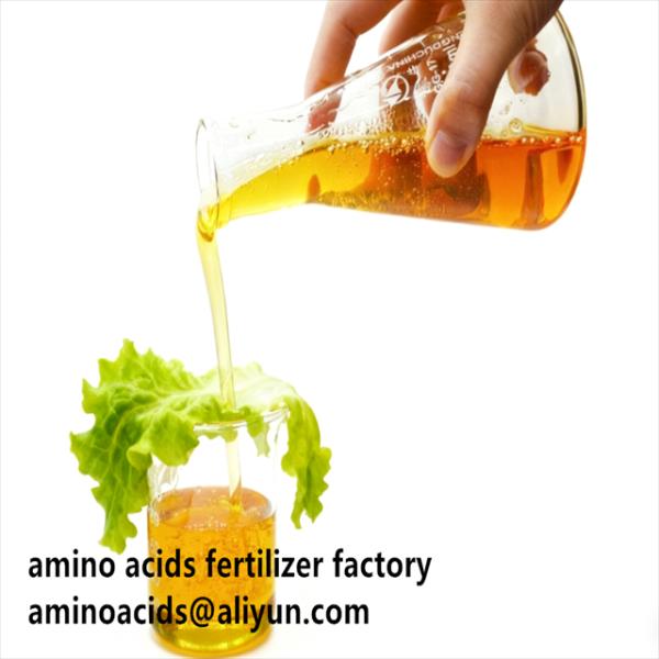 80% Hydrolyzed Amino Acid Liquid Fertilizer with 800g/L Total Amino Acids and ≥12.0% Total Nitrogen for Enhanced Crop Nutrition