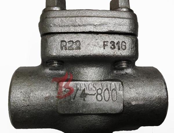Stainless Steel Swing Check Valve 0.75 Inch Forged 800LB OEM Available