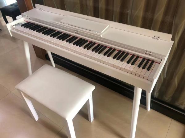 Digital piano 88 MIDI Multi-function digital electronic 88 keys piano Digital Pianos And Accessories constansaMusic Offi