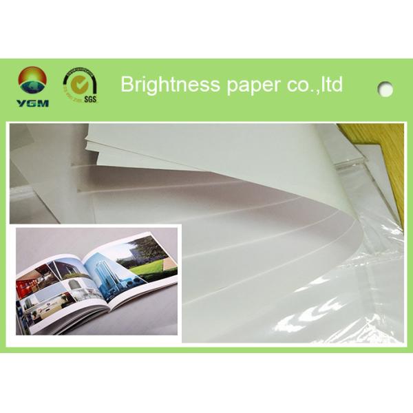 Custom Offset Printing Paper For Magazine And Textbooks 100% Wood Pulp Material
