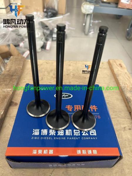 Marine Engine Accessories Z6170.1-44C/45 Inlet and Exhaust Valve for Zichai 6170/8170