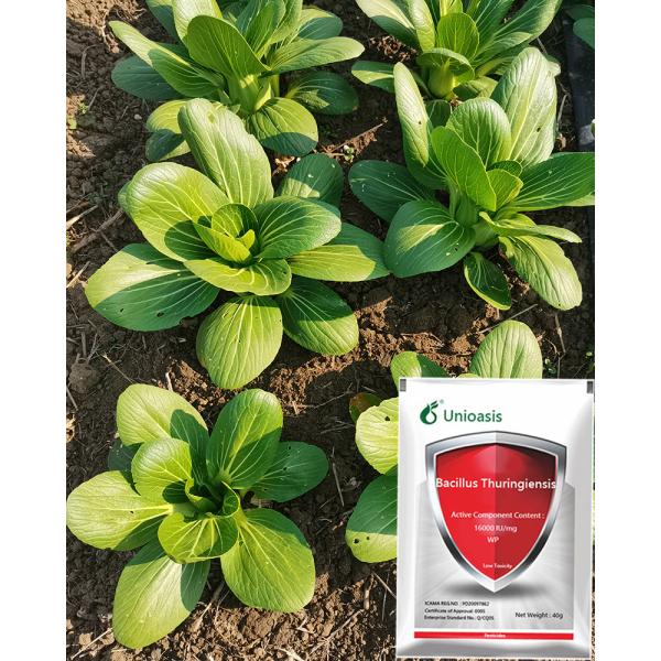 WP Vegetable Biological Insecticides Bacillus Thuringiensis for Garden Soil