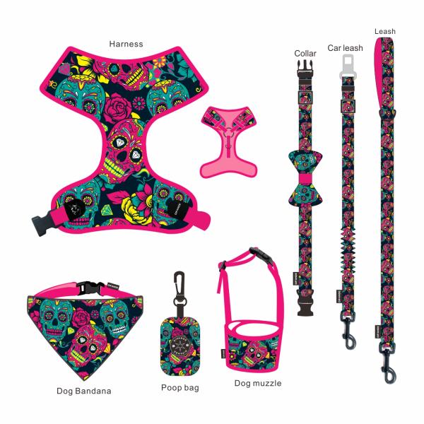 Изготовленное на заказ роскошное руководство проводки собаки логотипа установило зеленый Retractable поводок собаки