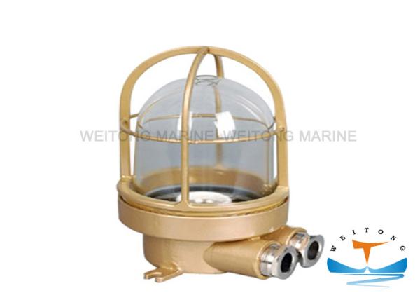 Waterproof Marine Lighting Equipment , 220Volt 60Watt Incandescent Pendant Light