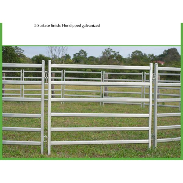 1800mm x 2100mm cattle panels oval pipes 30mm x 60mm ,40mm x 80mm